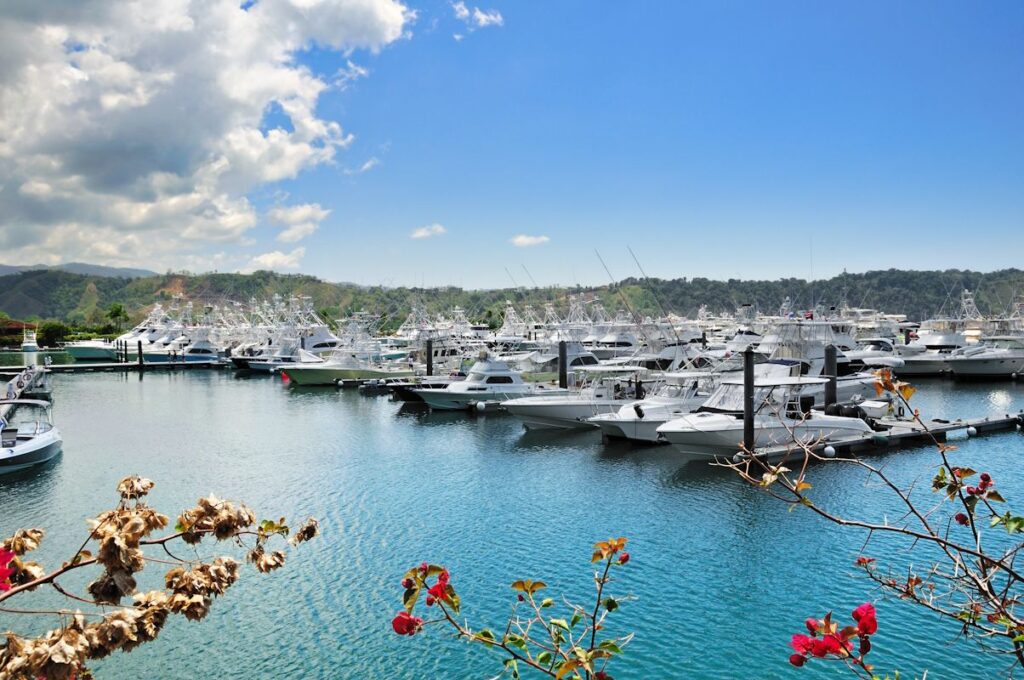 Explore the Marina for High-End Relaxation and Adventure