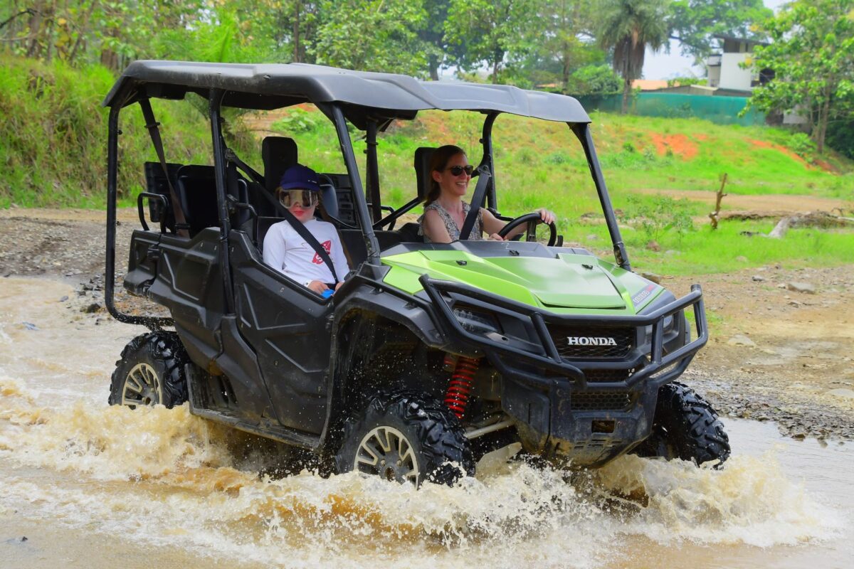 Buggy Ride